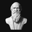 02.jpg Charles Darwin portrait sculpture 3D print model