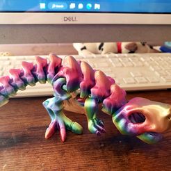 Flexi Rex Skelett