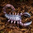 06.jpg ARTICULATED SCORPION