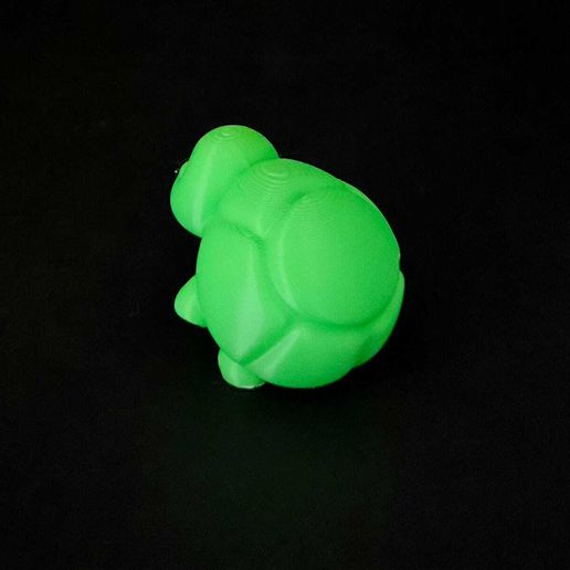 Little-Round-Turtle-7.jpeg Little Round Turtle