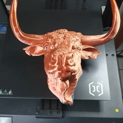 Toros Head 01