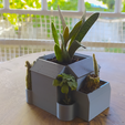 IMG_20210925_160652.png Isometric Manor Multi-Pocket Planter - No Supports