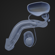 PA_2.png Male Reproductive Organ Cutaway