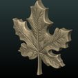 Maple_Leaf-x03.jpg Maple Leaf