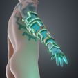 Link-Ultrahand-05.jpg Link's Ultrahand TOTK