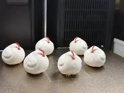 FAT CHICKEN