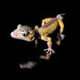 LeopardGecko_BySophie_Szene0001.jpg Leopard Gecko (Color Shape)-STL 3D Print File - with Full-5