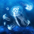 jellyfishimage.png Moon Jellyfish