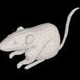 render-7.jpg Low Poly Mouse