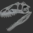 Screenshot-2023-12-18-161332.jpg Allosaurus Dinosaur Skull Replica
