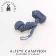 ALTEYR CHAMPION BRETHREN OF KARAAD Fichier STL Champion d'Alteyr・Modèle pour imprimante 3D à télécharger