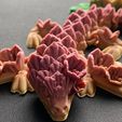 334963874_3421765614760834_1878299932164177000_n.jpg Apple Blossom Flexible Baby Dragon