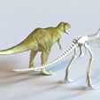 Tyrannosaurus_Rex_and_Skeleton_2.jpg Tyrannosaurus Rex and Skeleton 3D model