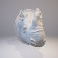 View 3D20170815-004243.jpg Rhinoceros Hook