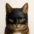 file_0000000090306230b289150235c305ec.png BAT-CAT MASK