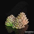 SD_Deco_PineConeBunchRender02.jpg Pacchetto decorazioni per le feste invernali
