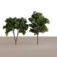 Tree-5.png Trees