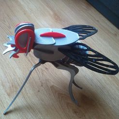 IMG_20120801_171522_Copiar_display_large.jpg Free STL file Puzzle Mosca - Fly Puzzle・3D printer model to download