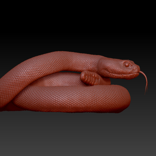 Free STL file SNAKE 1 🐍 ・3D printer model to download・Cults