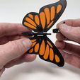 Image02g.jpg Butterfly Automaton