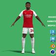 Nelson_1.jpg 3D Rigged Reiss Nelson Arsenal 2024