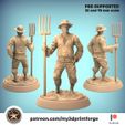 Farmerwitpitchfork-my3dprintforge-main.jpg Farmer with pitchfork 32mm and 75mm scale pre-supported