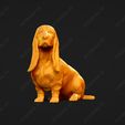 1112-Basset_Hound_Pose_05.jpg Basset Hound Dog 3D Print Model Pose 05