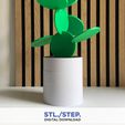 Foto.-Etsy.jpg CactusCoasters | 3D pot planter | Digital Files | 3D coasters | 3D digital file | 3D stl file | 3D model STL | coaster | centerpiece