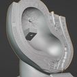 Screenshot_3.jpg Anatomy Model of Pregnancy Pelvis