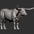 Texas-Longhorn9.jpg Texas Longhorn 3D-Druckmodell