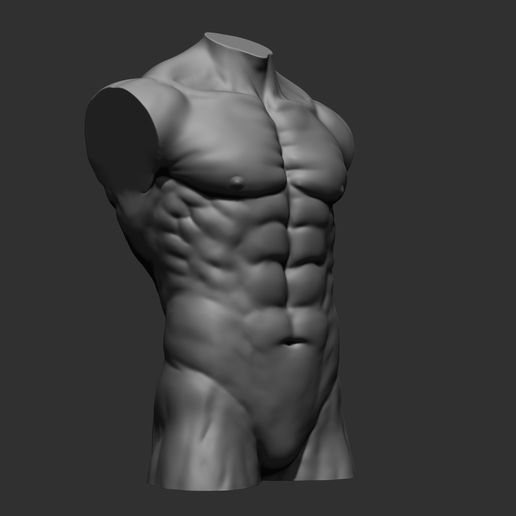 25.jpg Archivo 3D 4 Torsos masculinos・Modelo para descargar e imprimir en 3D, Daniartist