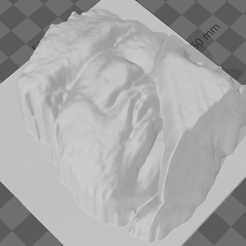 01.1.png STL file REAL BABY FETUS ULTRASSOUND・3D printing model to download
