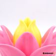 Multifunctional-Lotus-Flower_2.jpg 3D-Datei (Multifunktionale) Lotusblume・Design für 3D-Drucker zum herunterladen