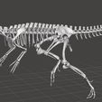 dilophos.jpg STL file Dilophosaurus dinosaur skull・3D print design to download