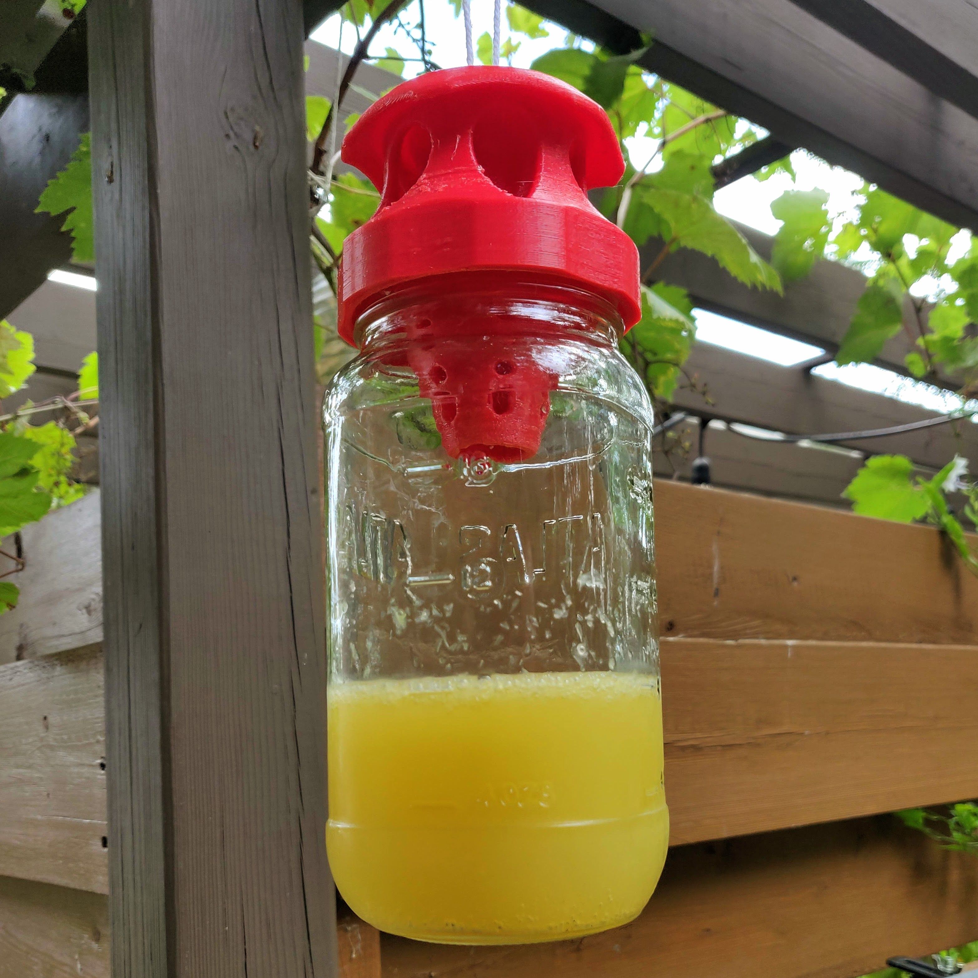 STL file Wasp Trap Screwable mason jar lid・3D print object to