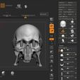 ZBrush-ScreenGrab01.jpg Giger Skull Concept