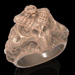 1.jpg Skull ring ring jewelry 3D print model
