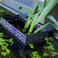 Capture3.png Aquarium Planter