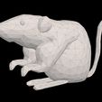 render-8.jpg Low Poly Mouse