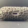 thumbnail_IMG_5196.jpg airpods pro voronoi case