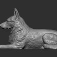 Germanо_Shepherd9.jpg German Shepherd 3D print