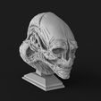 ETER-KEYSHOT-COLOR.123222901.jpg Alien newborn bust