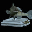 zander-open-mouth-tocenej-4.png fish zander / pikeperch / Sander lucioperca trophy statue detailed texture for 3d printing