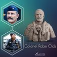 00-Cover-Cults.jpg Colonel Robin Olds 3d model 3D print model