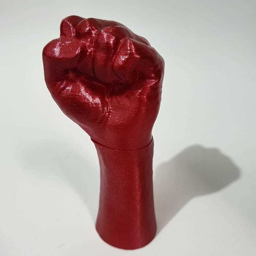 3d24e8cf-5e8d-4ed3-a419-334f3e26042f.jpg Poing de la main