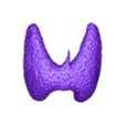 Thyroid_Print_Version.stl Tiroides sana y cáncer de tiroides