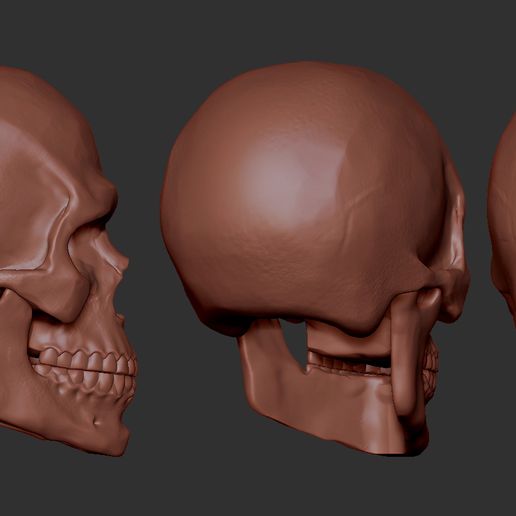 04.jpg Free STL file Skull・3D printer model to download, F-solo
