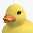 rubber-duck_BODY-v1d.png Многоцветный игривый резиновый утенок