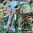 IMG_2881.jpg Zombie Elephant