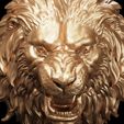 Lions_Roaring-2.jpg Lions HEAD